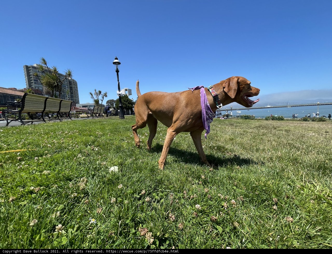 Peaceful Stroll by the Water
