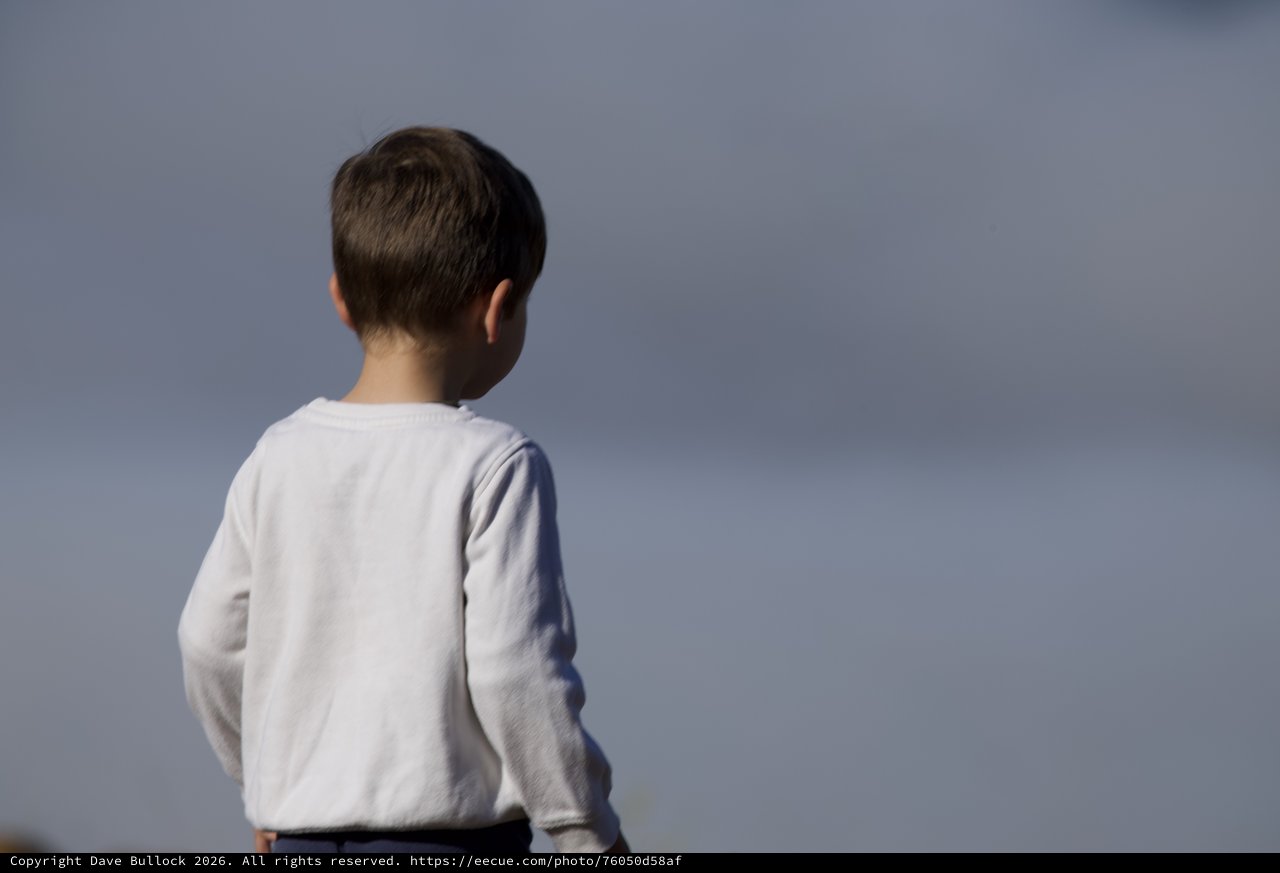 Young Boy Gazes Toward the Horizon in Contemplation
