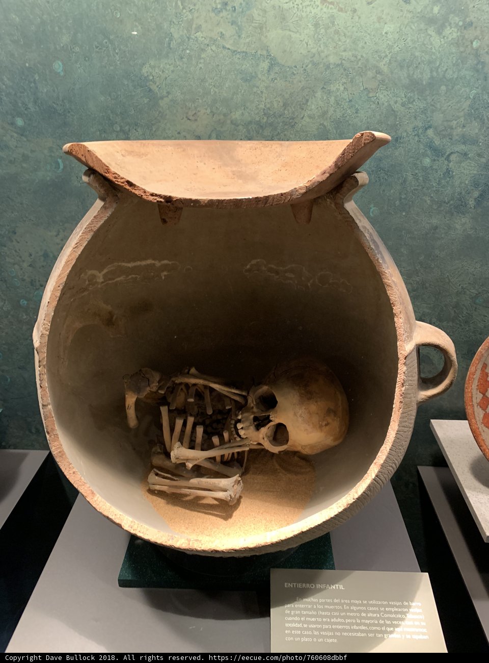 Skull Pottery