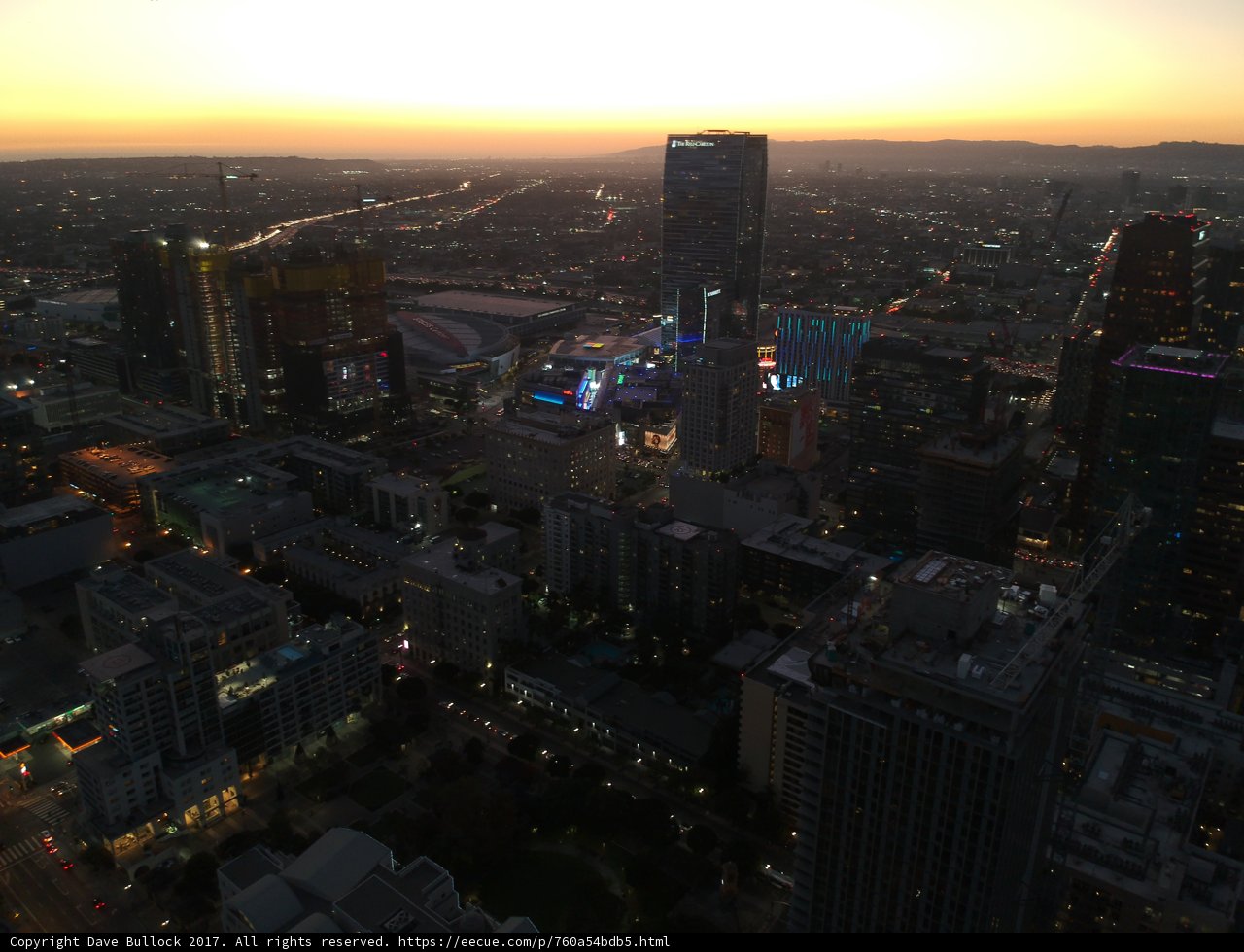 Golden Hour in the Urban Jungle