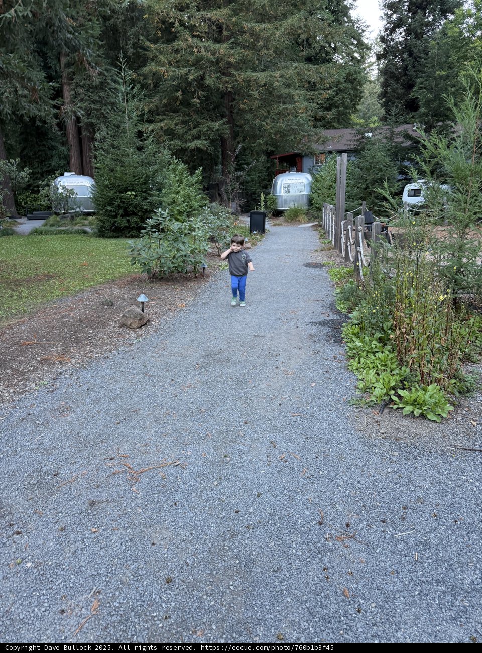 Strolling Through Nature's Embrace