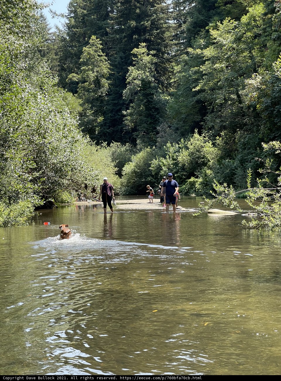 River Fun with Furry Friends