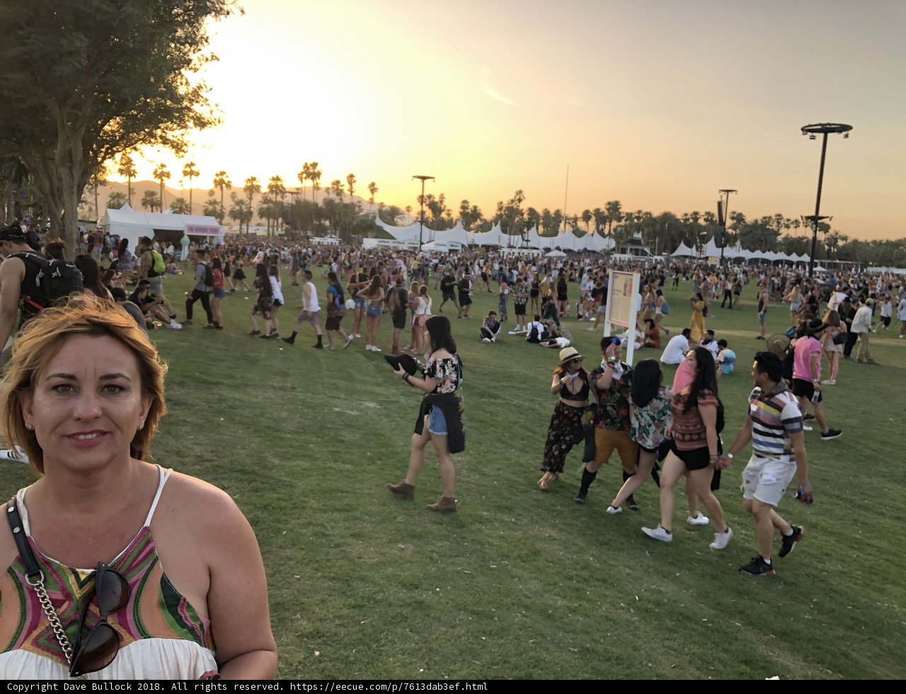 Festival in the Grass