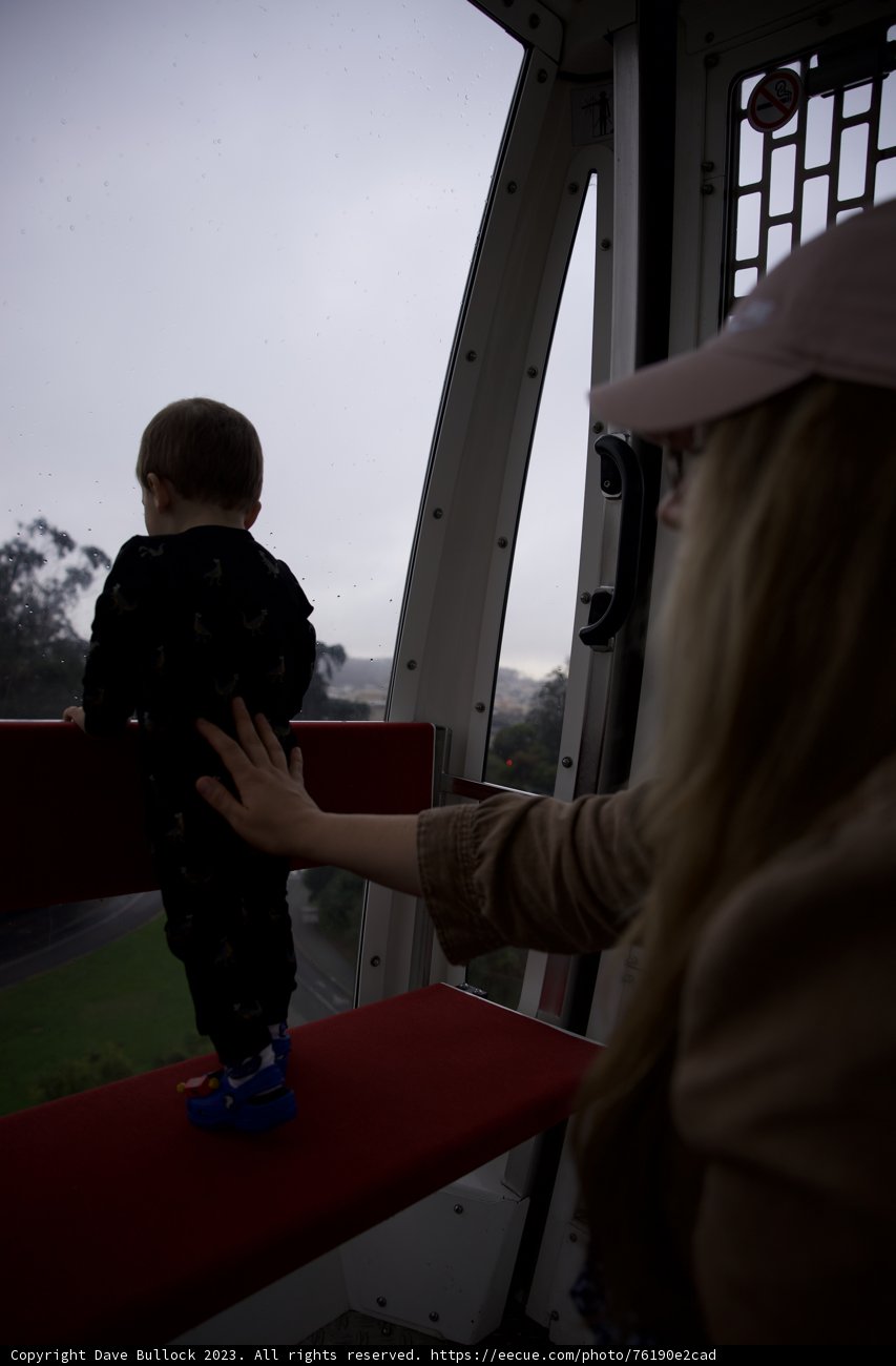 Golden Memories at Golden Gate Park
