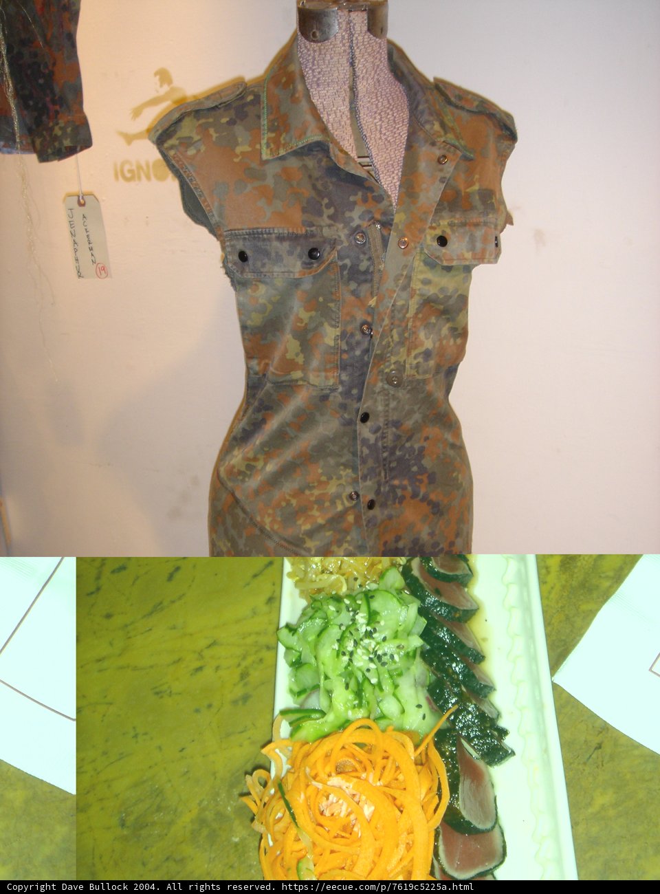 Camouflaged Cuisine