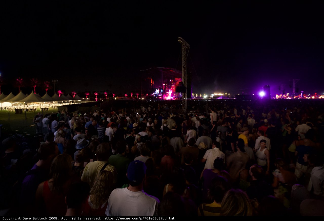 Coachella Nights