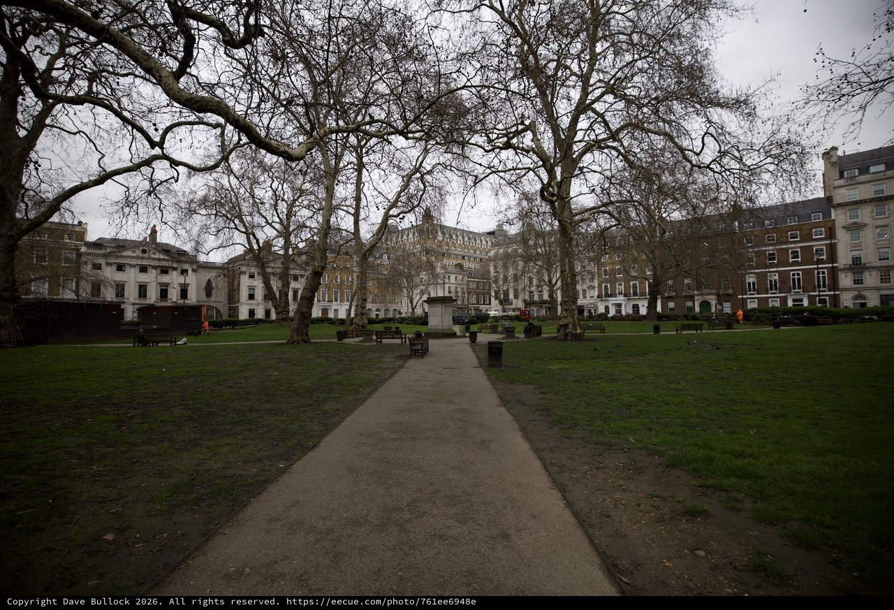 Bare Trees Frame Georgian Square on Grey London Day