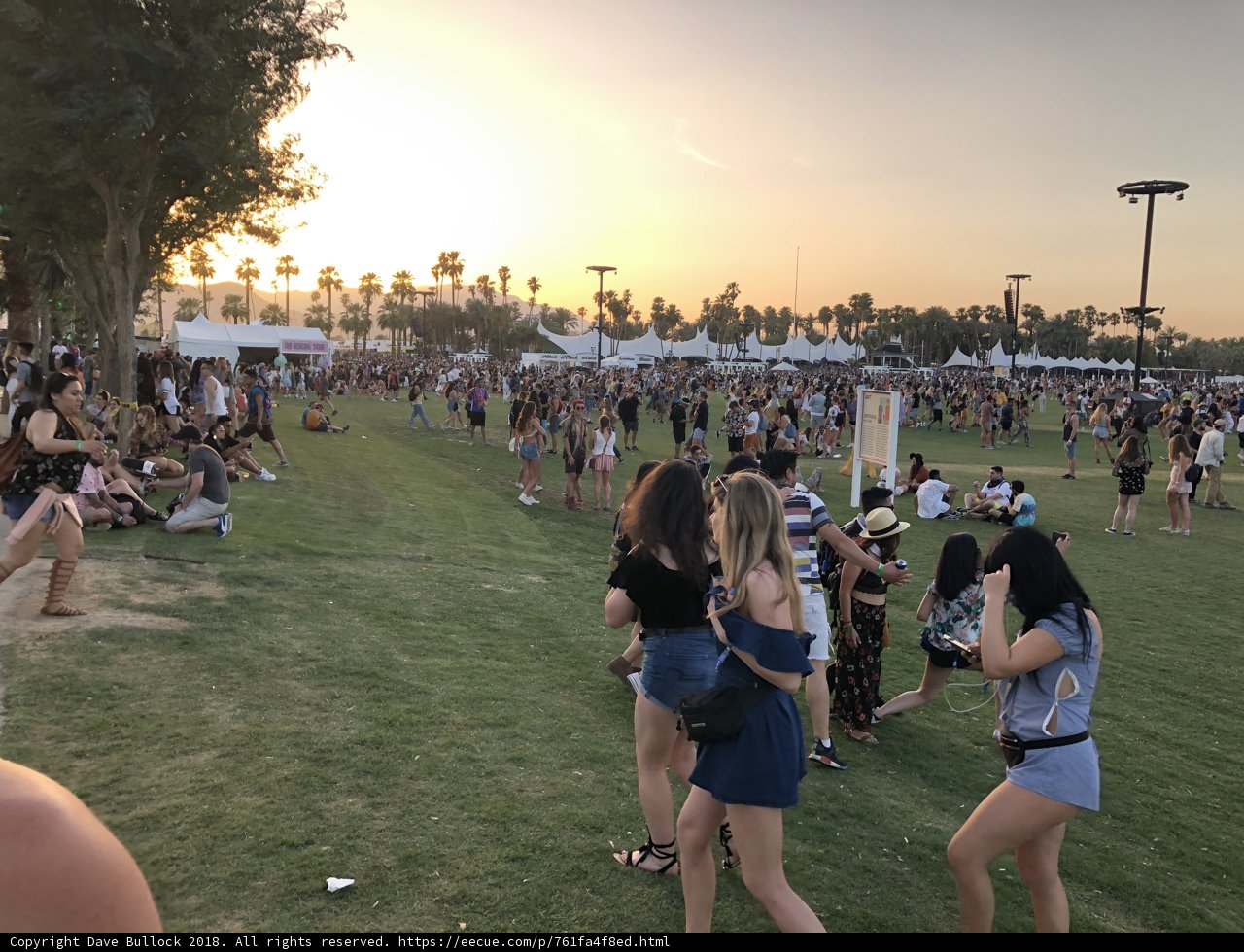 Sunset Gathering in the Grass