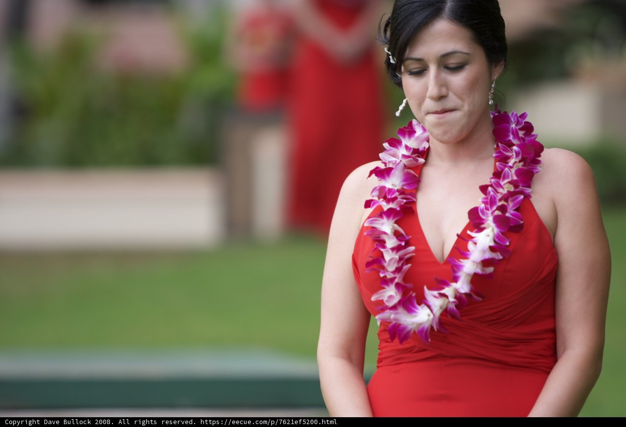 Red Dress and Flower Lei