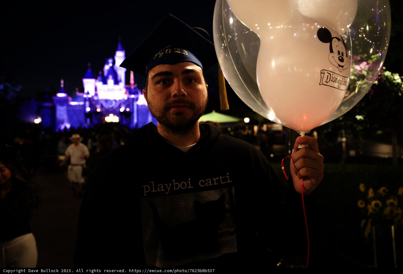 Magical Moments at Disneyland