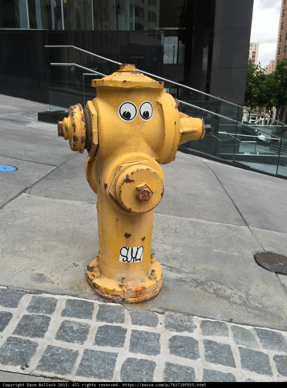 Googly Eyes Hydrant Portrait