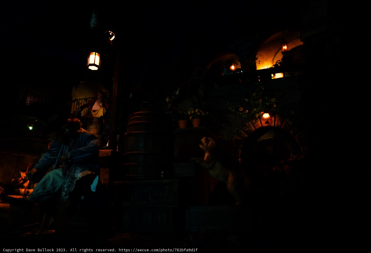 Magical Moment at Disneyland