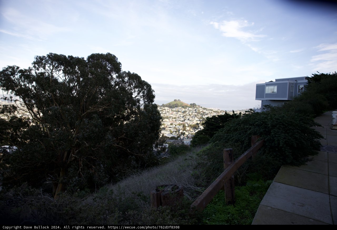 City Vista from the Verdant Heights