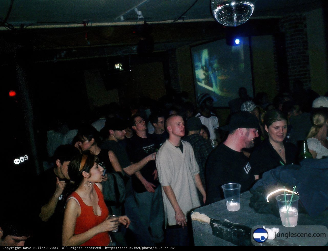 Nightclub Party with Man on Screen