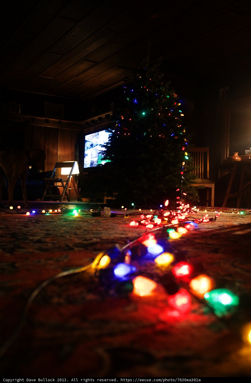 Festive Christmas Tree Lighting