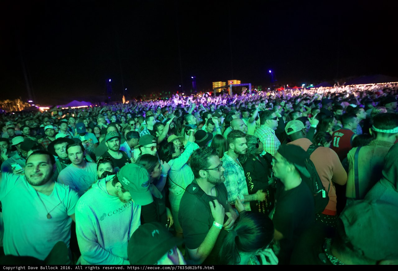 Nightlife Revelry at Coachella 2016