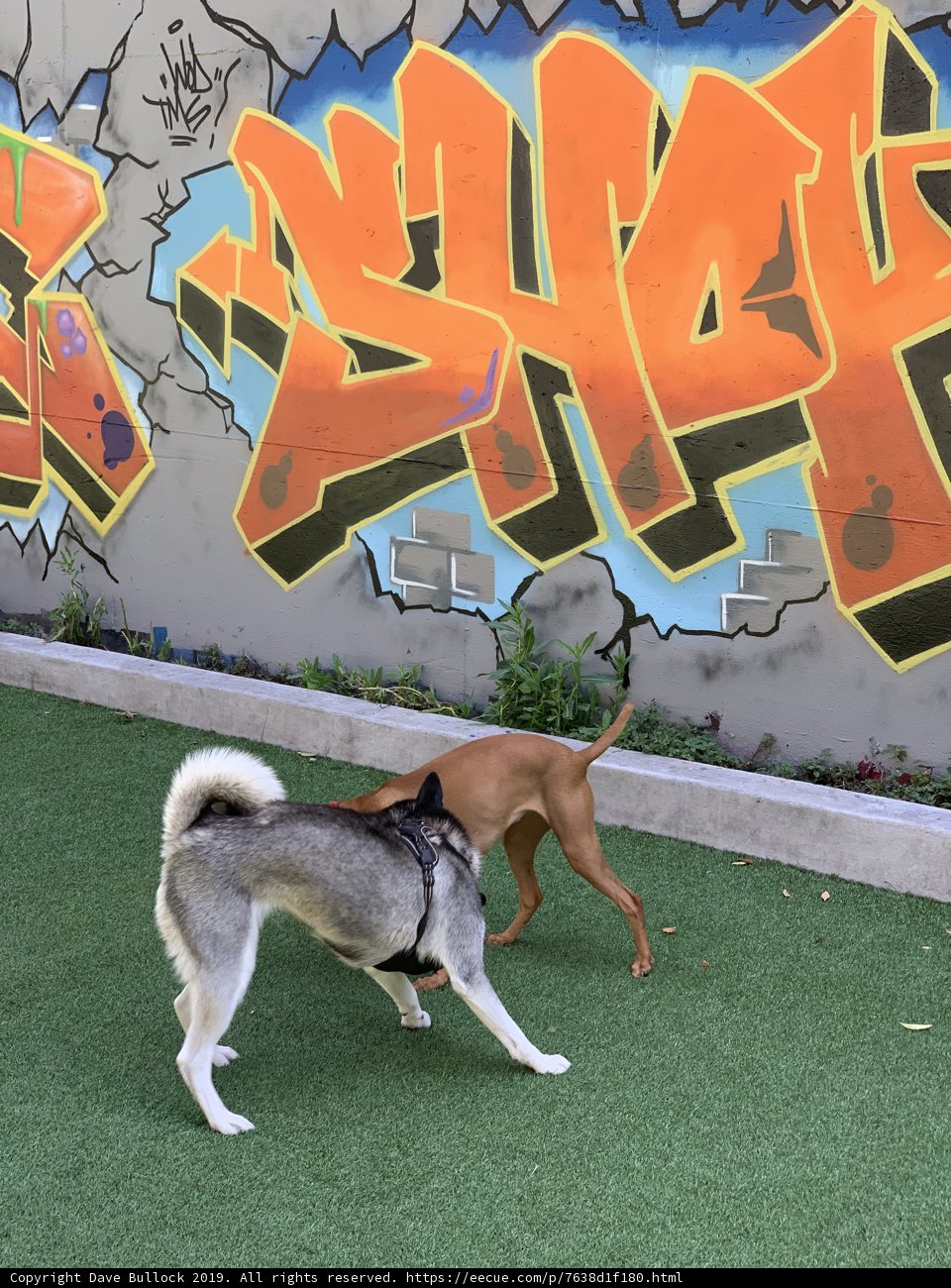 Graffiti Pals