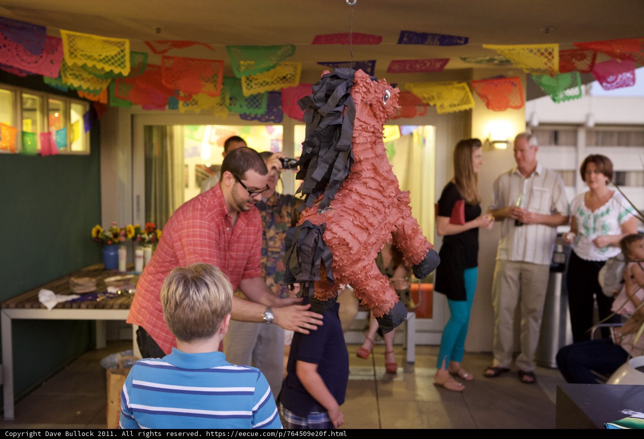 Horse Head Party Fun