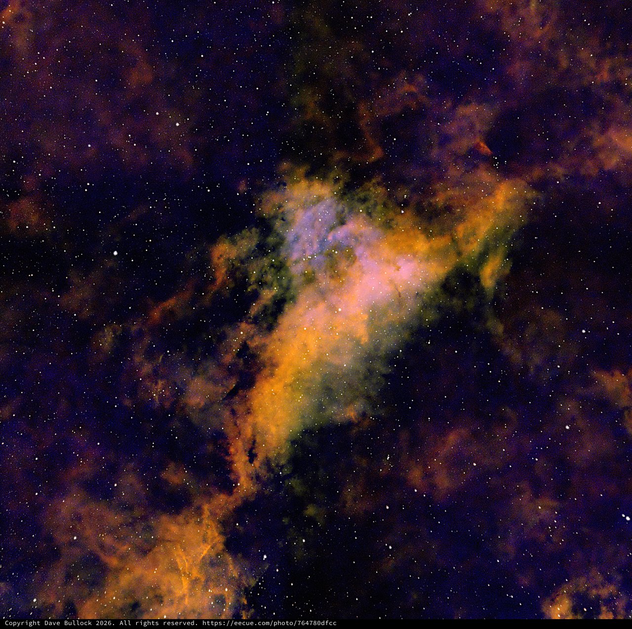 IC1318A Emission Nebula in Cygnus - SHO Narrowband Palette