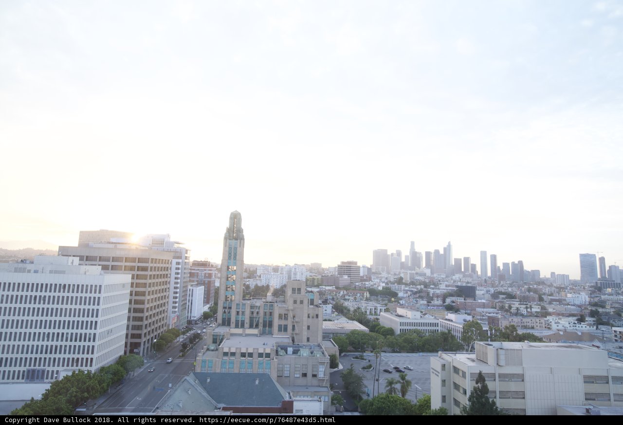 Morning in the Metropolis