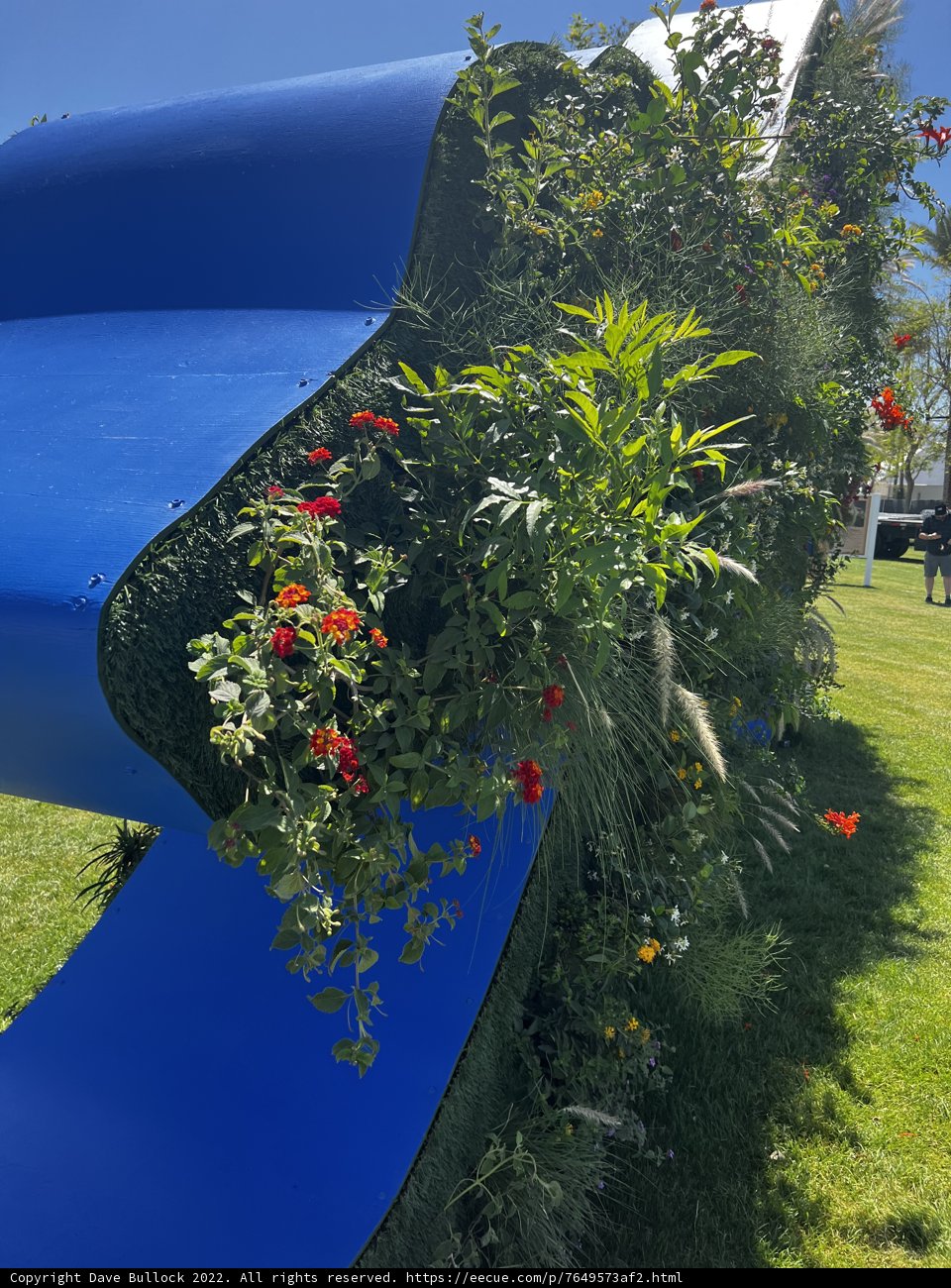 Flower-filled Slide