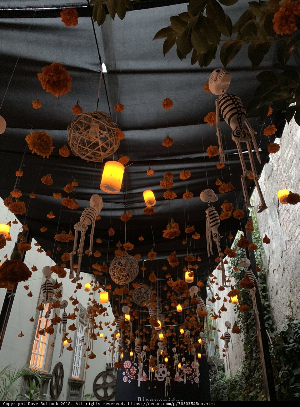 Enchanting Chandelier