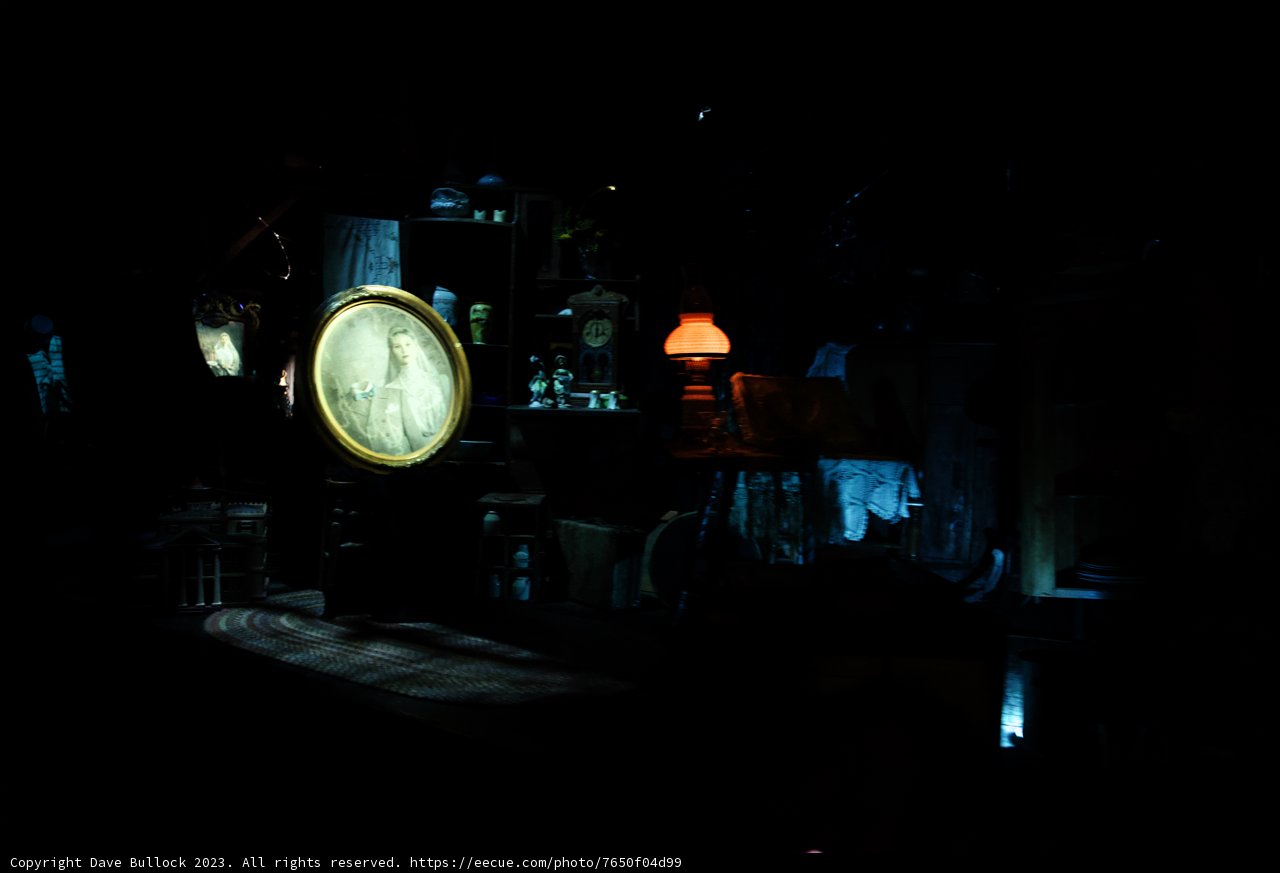 Mysterious Moments at Disneyland
