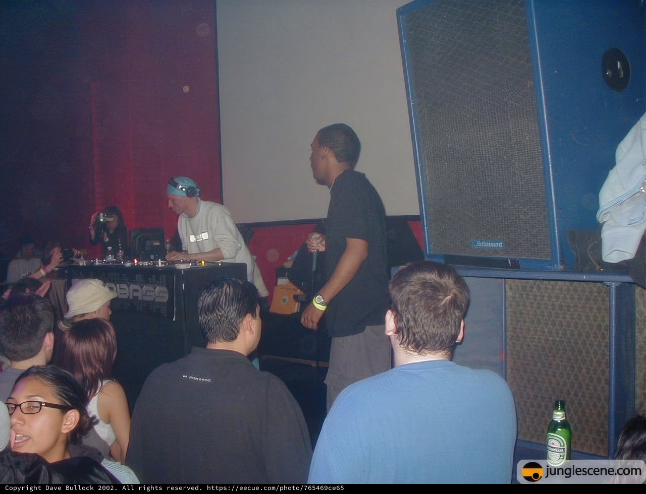 Partygoers Dance the Night Away with DJ