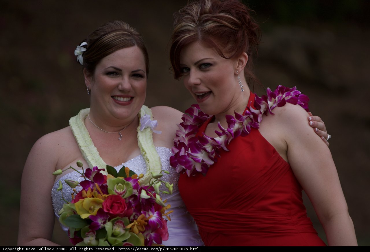 Red-Dressed Wedding Party