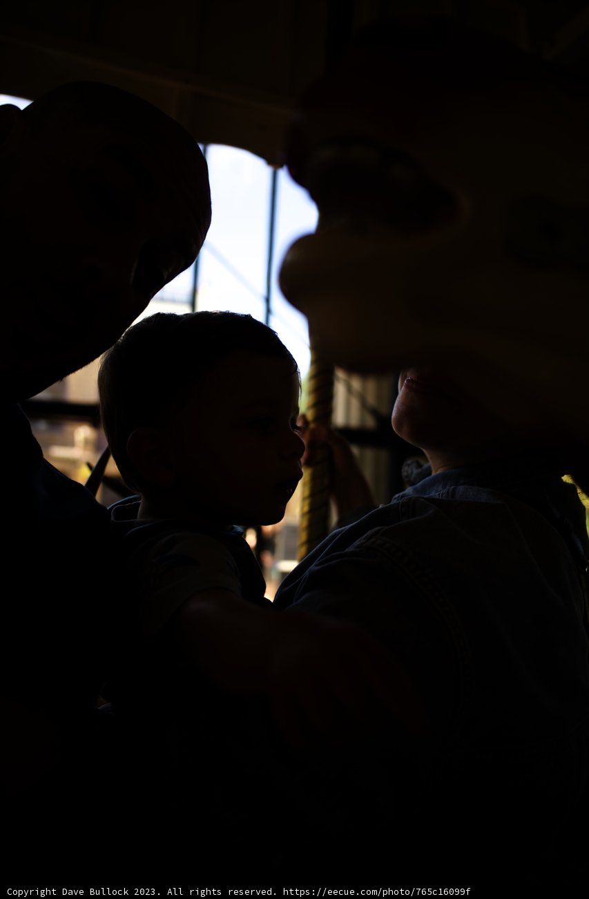 A Cherished Day at the Carousel