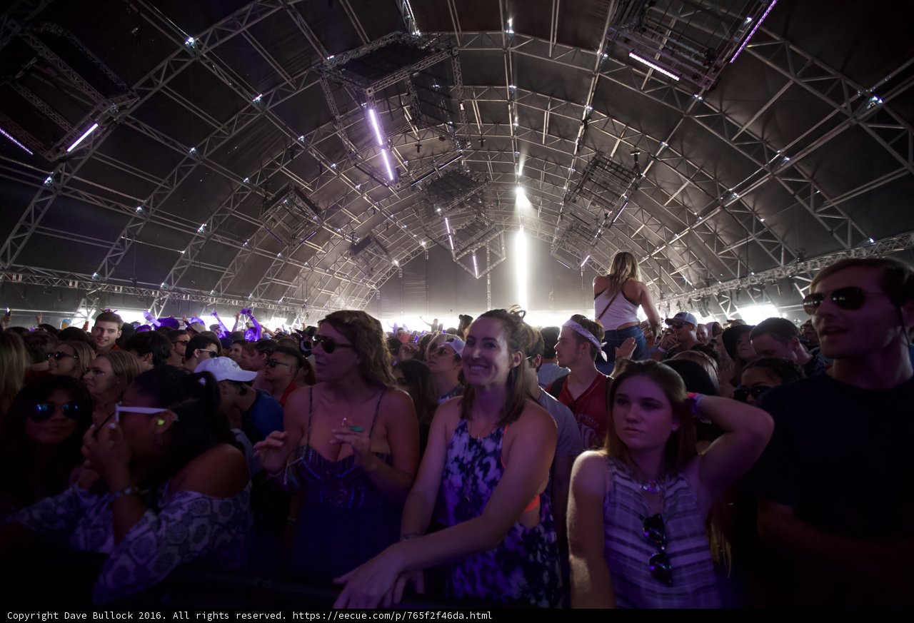 Electrifying Crowd at Coachella
