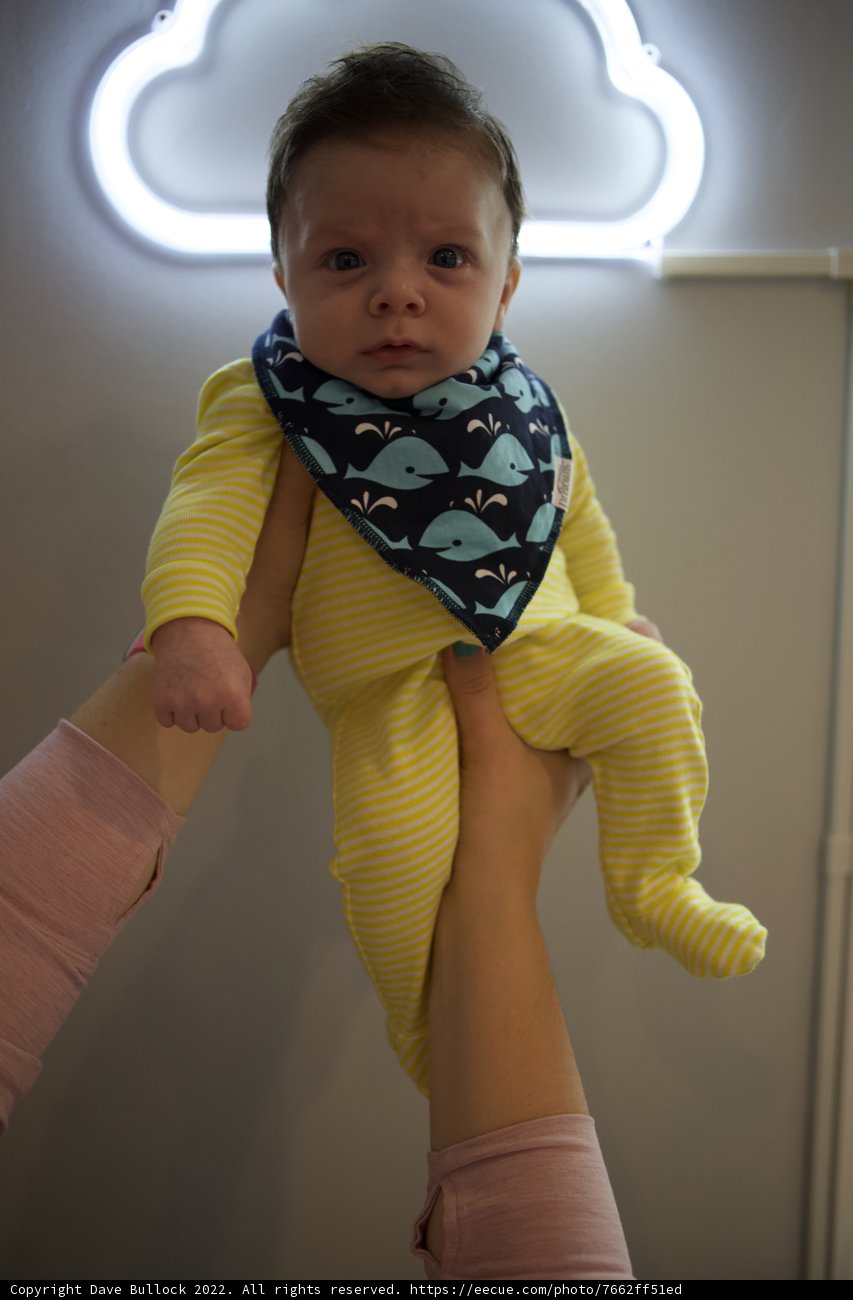 Embraced Moments: Wesley at 2 Months