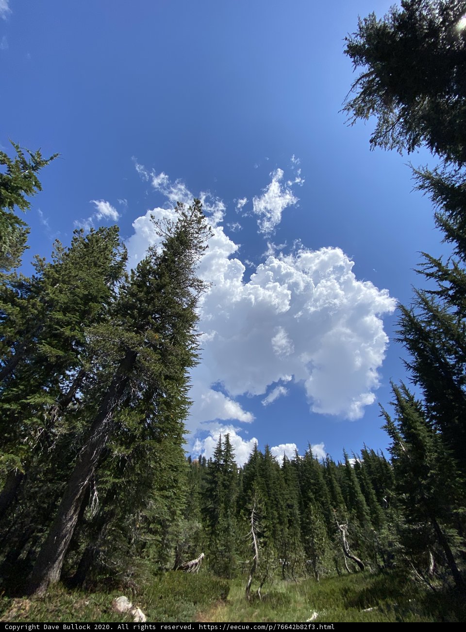 A Haven of Nature's Beauty