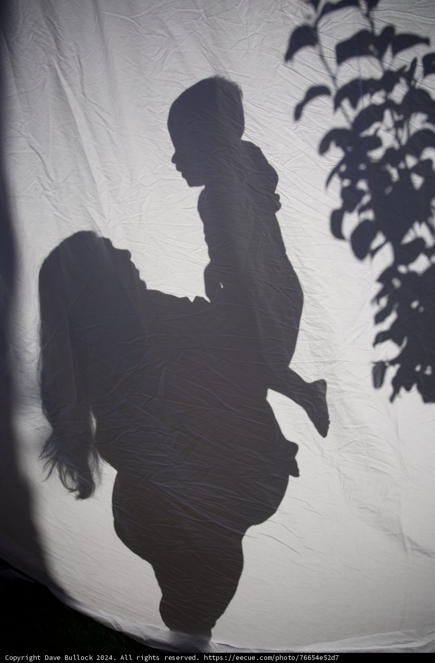 Silhouetted Beginnings