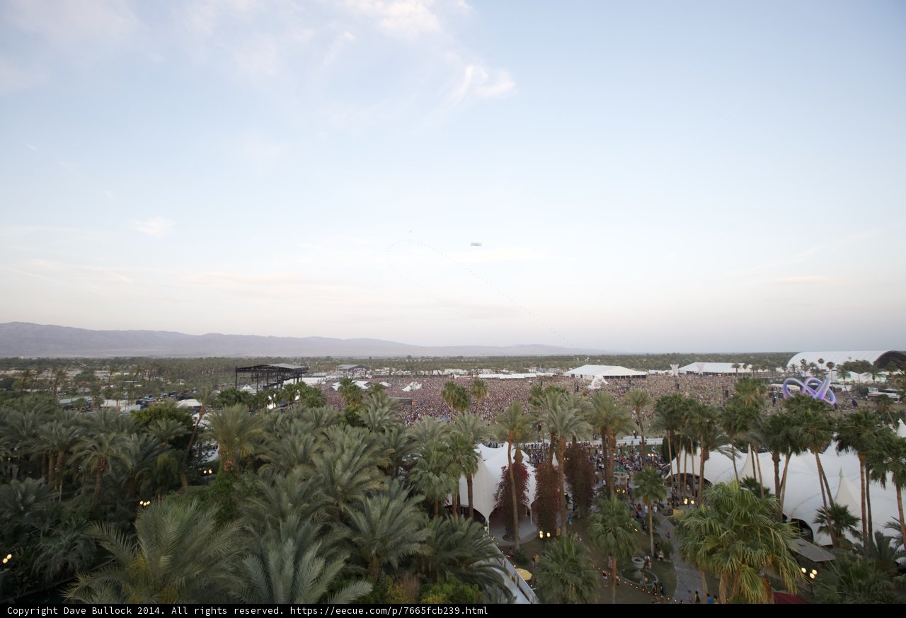 A Spectacular View of Palm Trees and Mountains