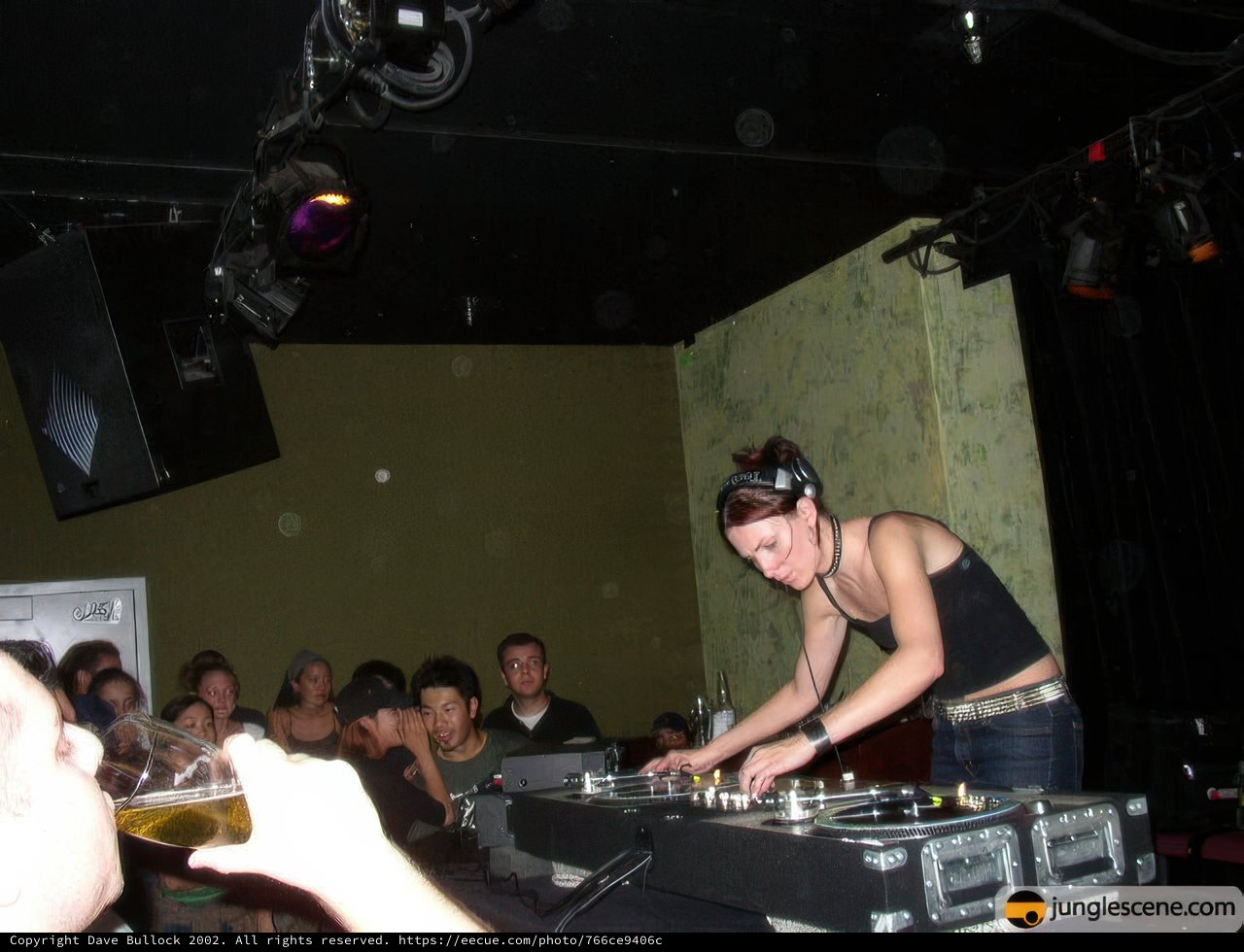 DJ Lady in the Spotlight