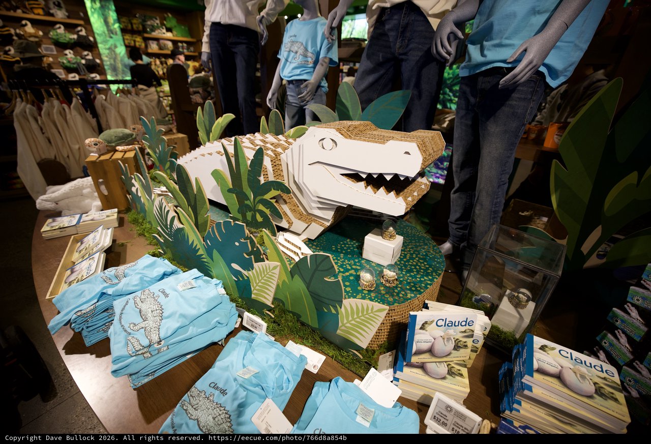 Claude the Dinosaur Gift Shop Display