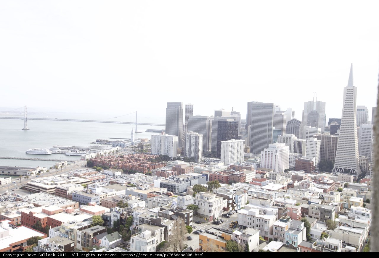 Skyline of the Urban Metropolis