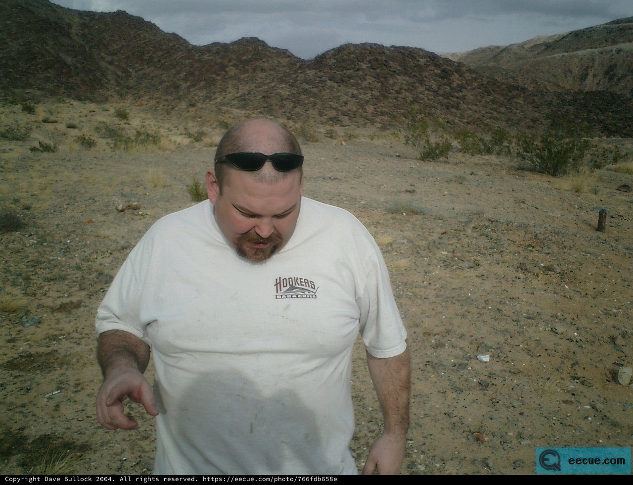 Lost in the Wilderness