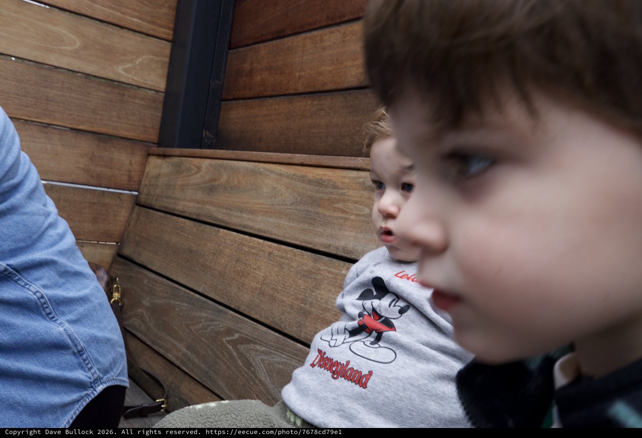 Two Young Children at Disneyland Adventure