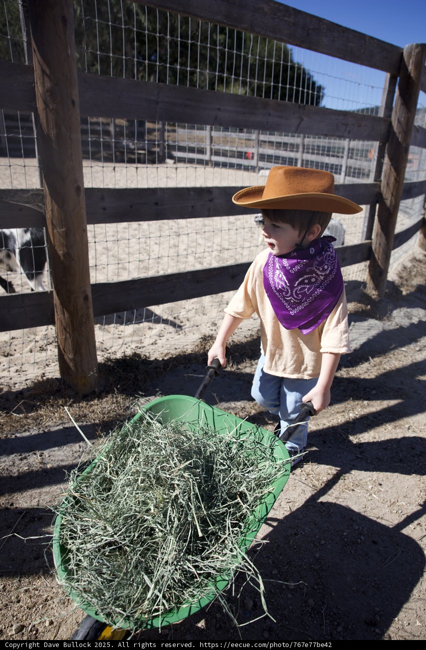 Little Ranch Hand in Action
