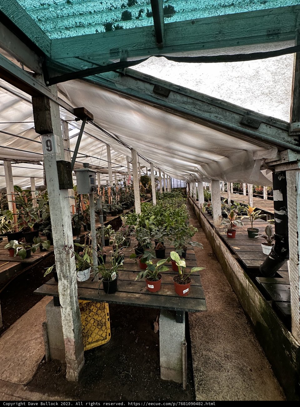 Inside a Sprawling Greenhouse in Broadmoor