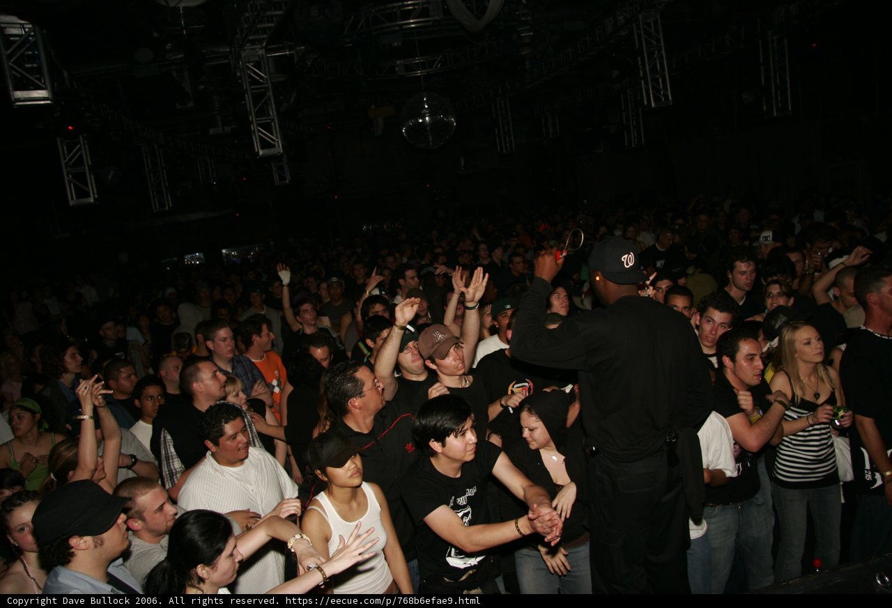 Funky Nightlife Concert Crowd