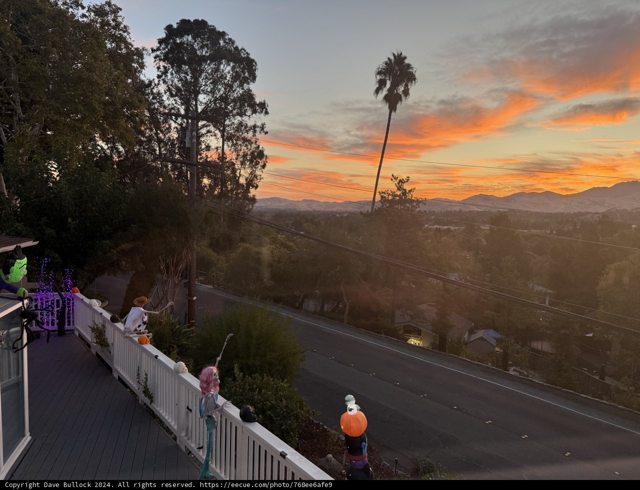 Golden Hour in October