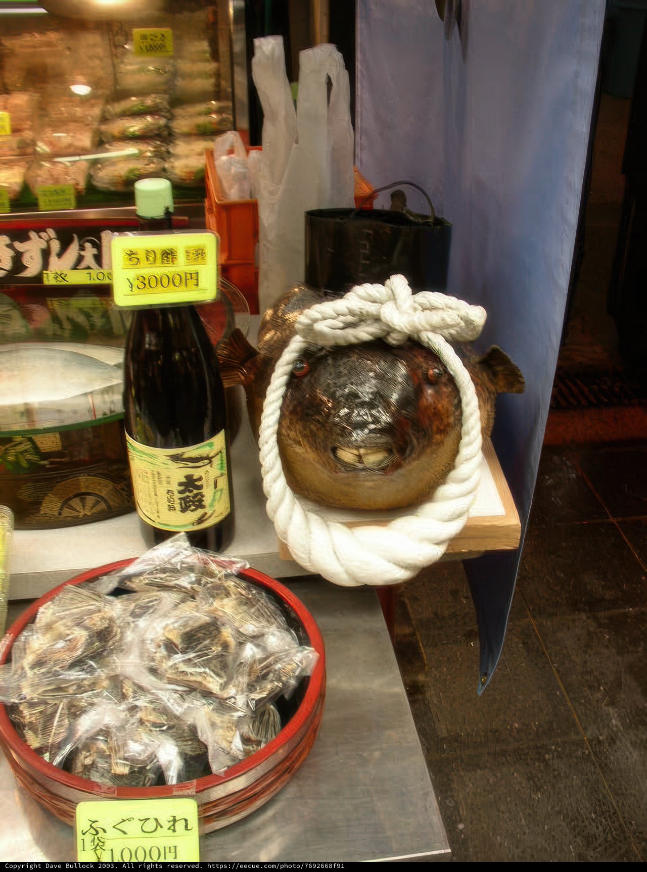 Seafood Delight
