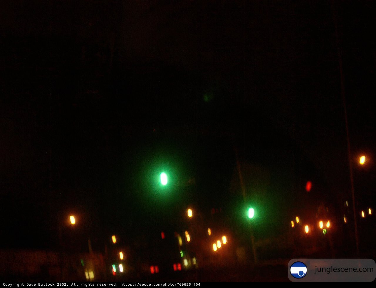 Glimpse of the Night Sky