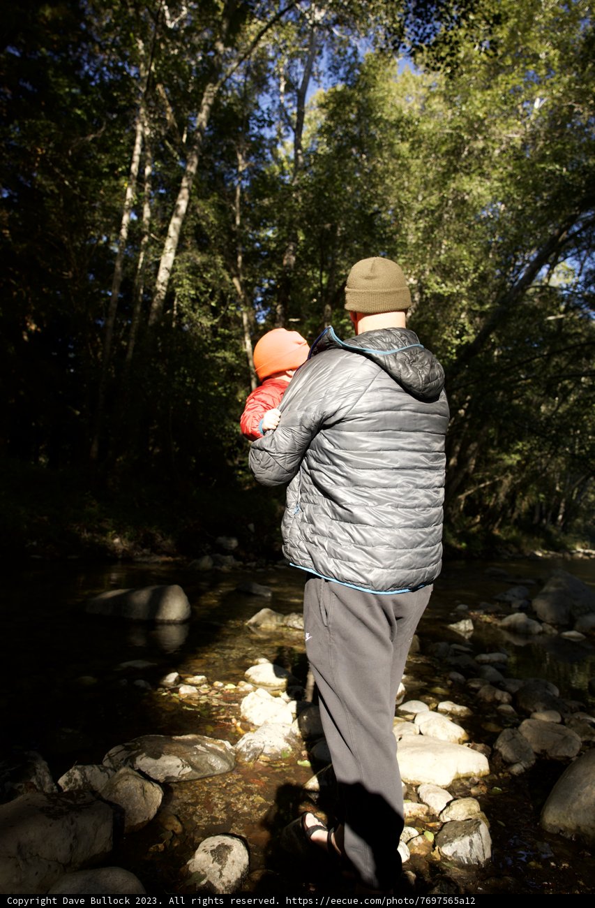 The Red Frisbee Adventure in the Heart of Wilderness