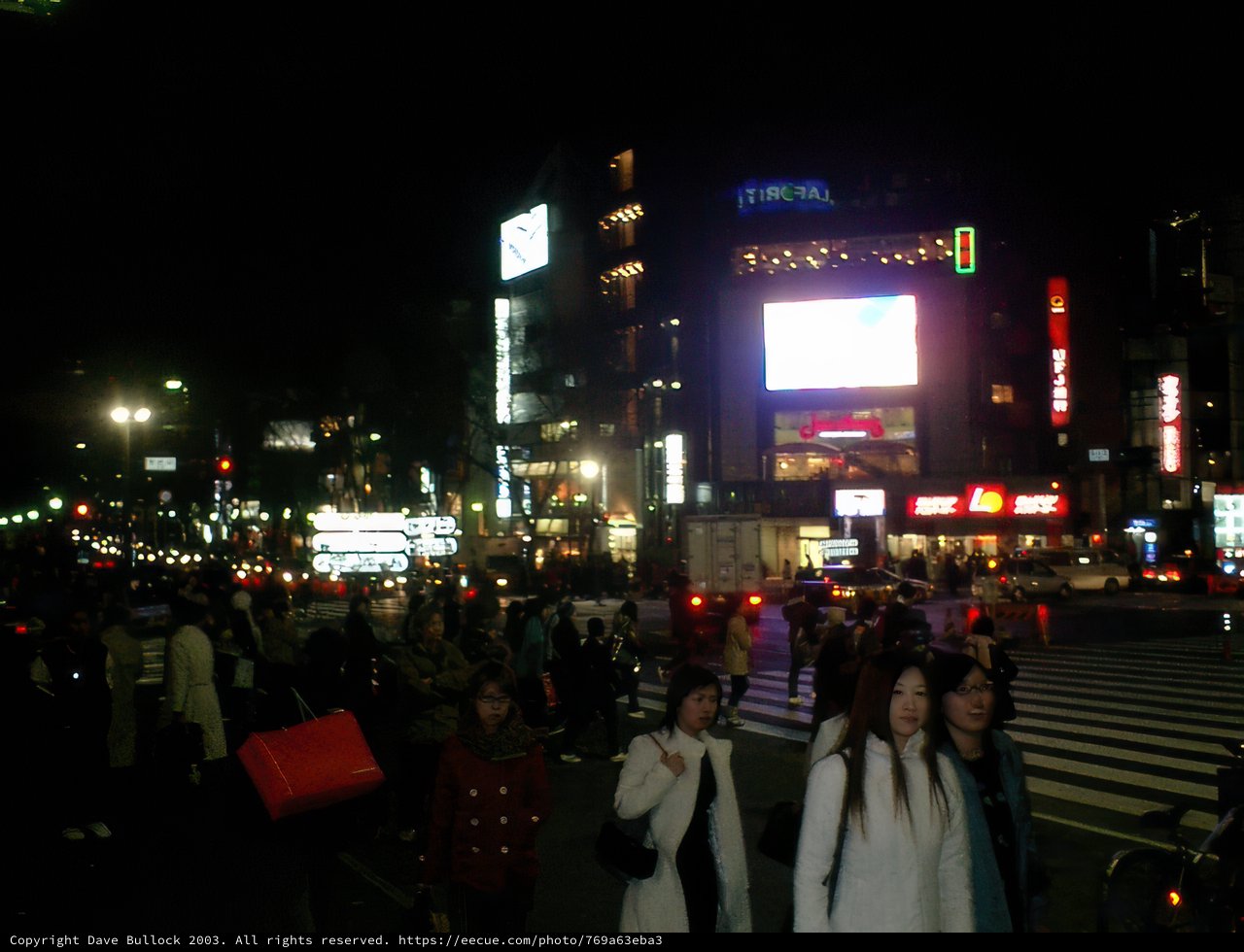 Night-time Walk in Tokyo's Metropolis