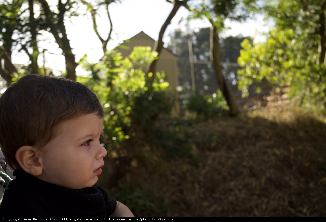Playtime in Nature with Teddy