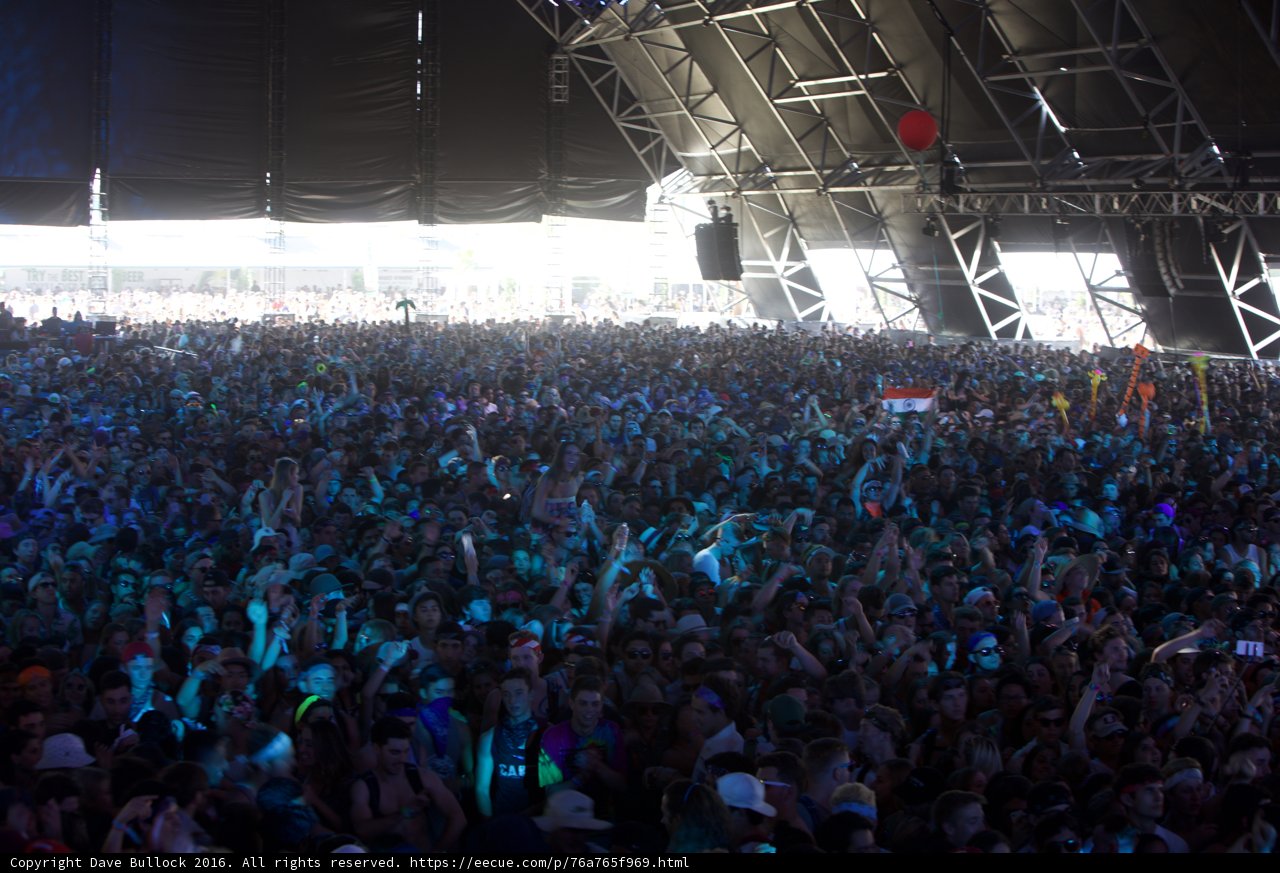 The Electric Crowd at Coachella